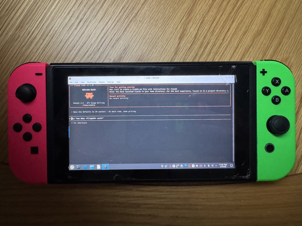 Claude Code on Nintendo Switch