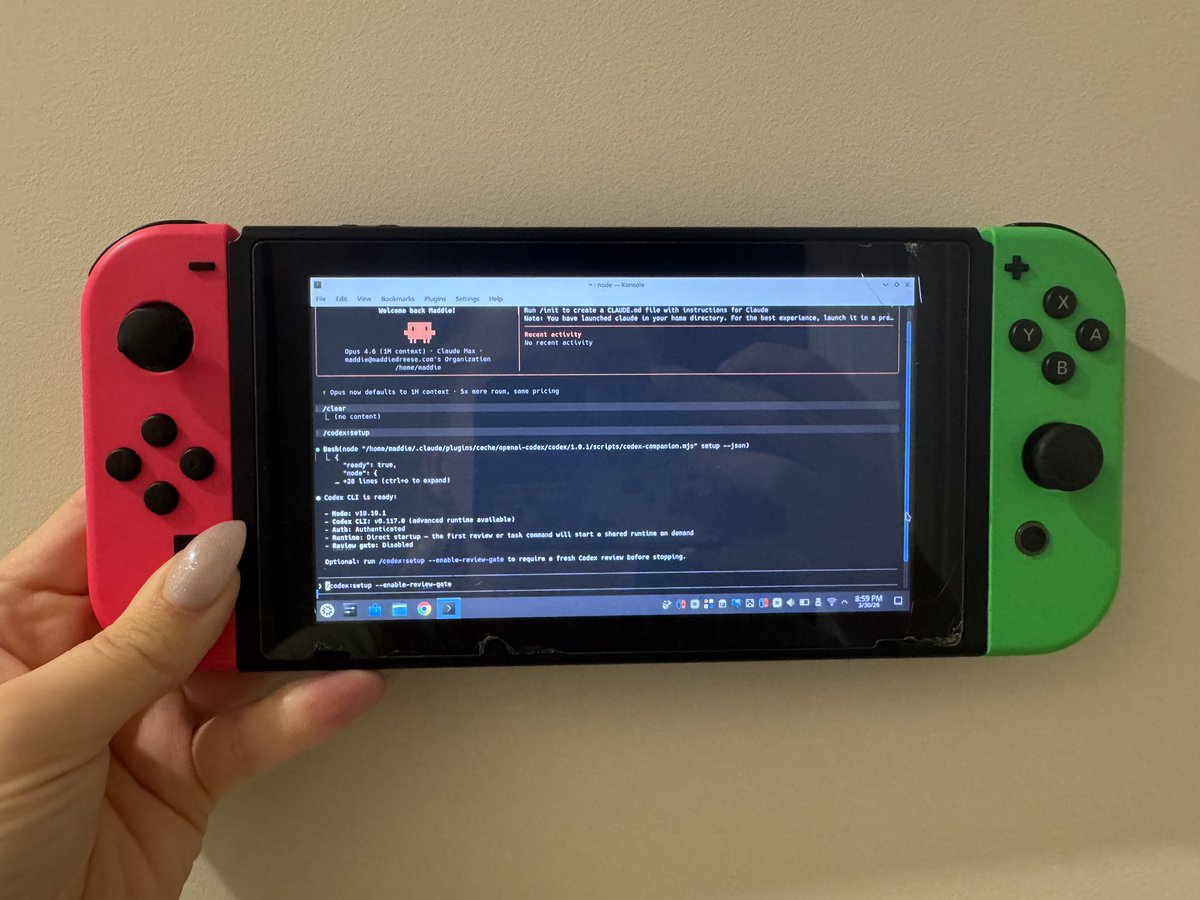 Codex in Claude Code on Nintendo Switch
