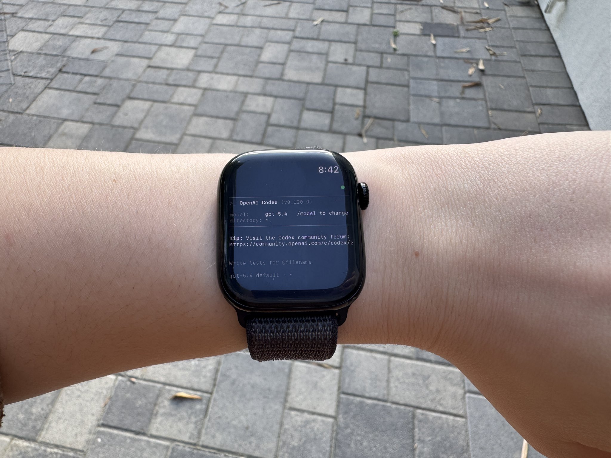 Codex on Apple Watch