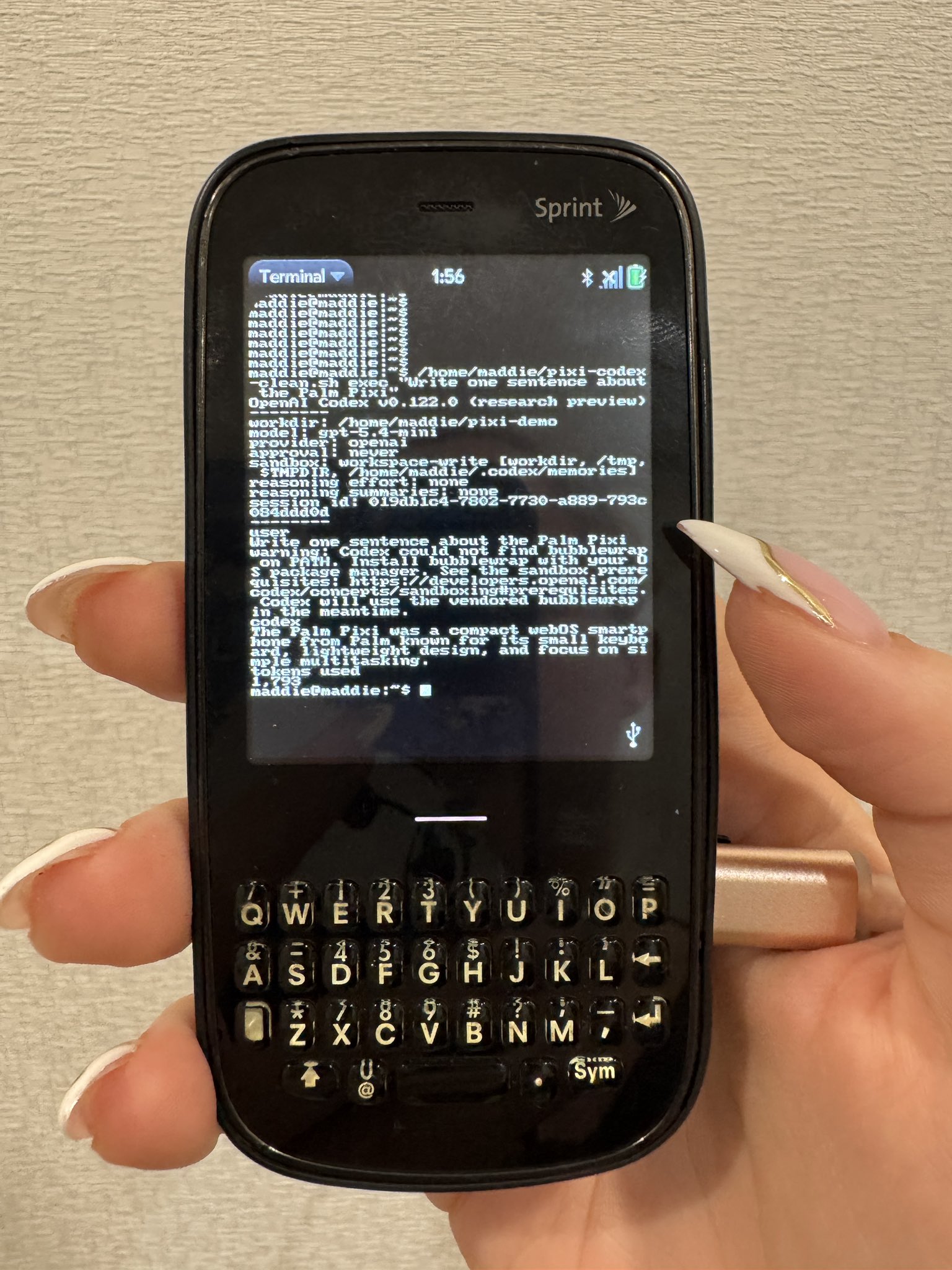 Codex on Palm Pixi