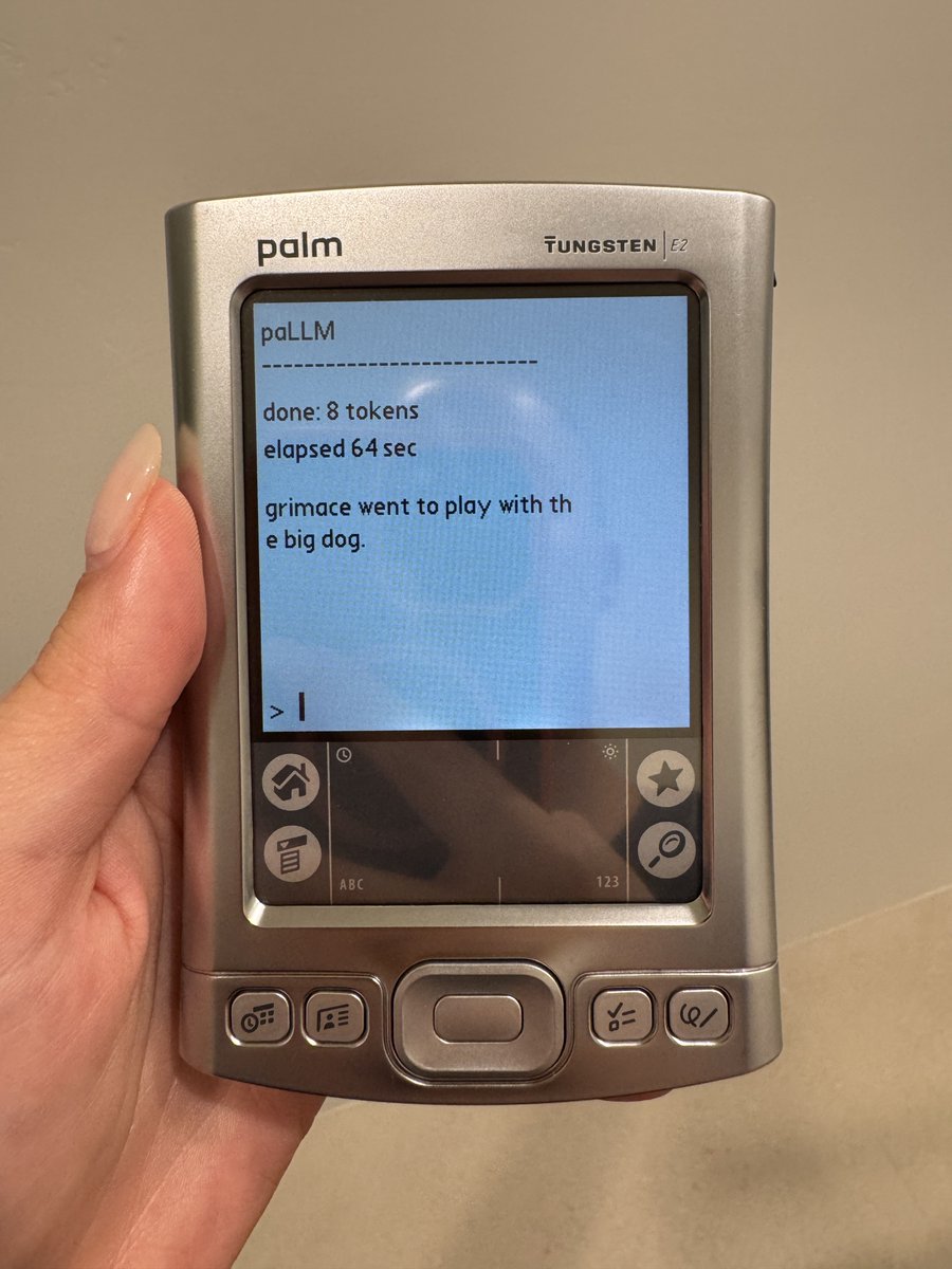 paLLM output on a Palm Tungsten E2